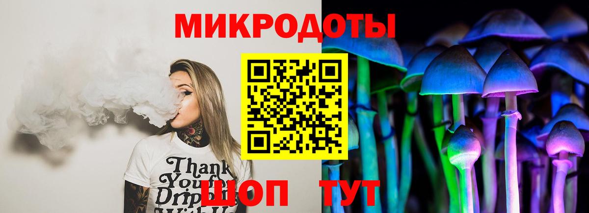 Ефремов  Псилоцибиновые грибы Magic Shrooms  Вход с VPN 